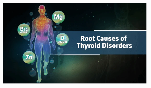Ayurveda & Thyroid Health (Ayurveda on Root Causes of Thyroid, Diagnosis of Thyroid and Thyroid Diet) - Image 2