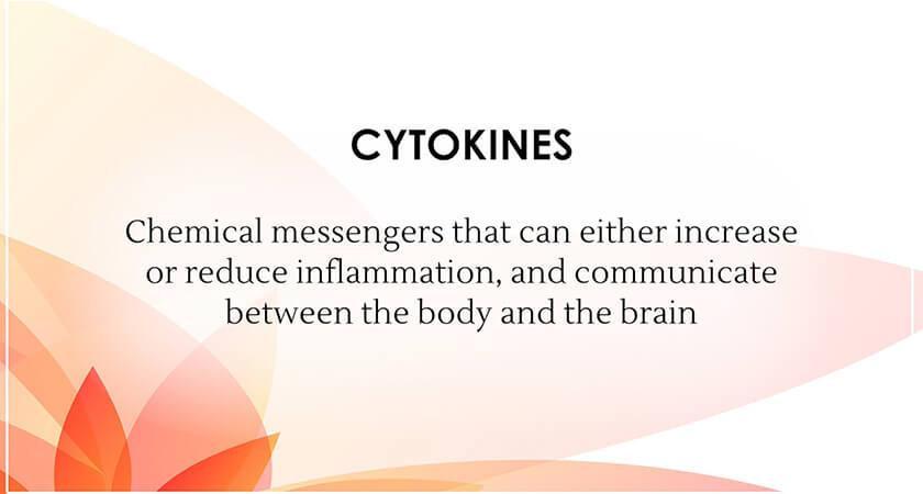 Ayurveda on Chronic Stress, Anxiety & Depression (Root Causes, Symptoms & Recovery) - Image 4