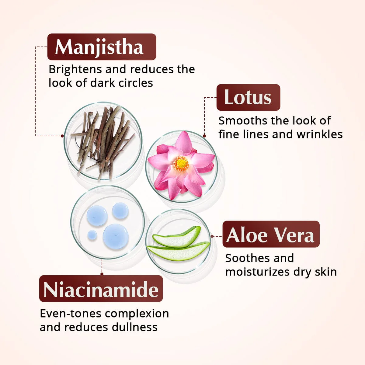 Rufolia PRO 2nd at 30% off for zipify pages - Image 7