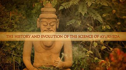 The Ayurveda Experience - Fundamentals of Ayurveda on Diet, Exercise, Meditation, Beauty and Body Work - Digital - Image 4