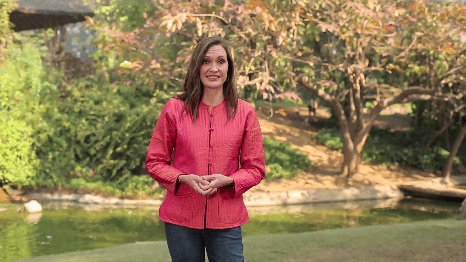 The Ayurveda Experience - Fundamentals of Ayurveda on Diet, Exercise, Meditation, Beauty and Body Work - Digital - Image 7