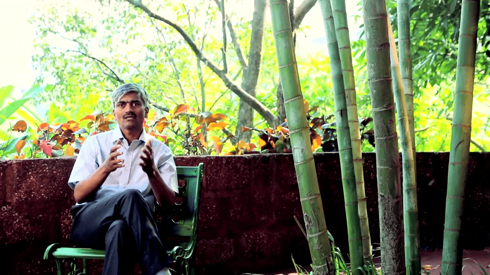 The Ayurvedic Secrets of Digestion - Image 6